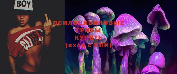 ALPHA-PVP Карталы