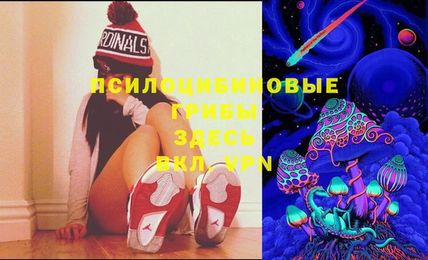 стафф Касимов