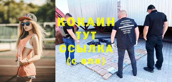 стафф Касимов