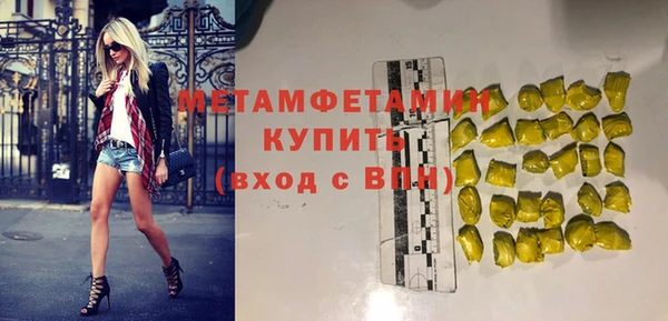 стафф Касимов