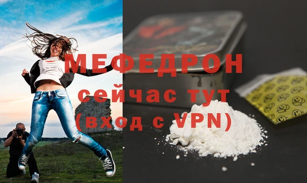 стафф Касимов