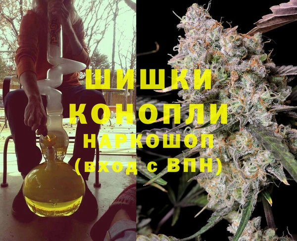 стафф Касимов