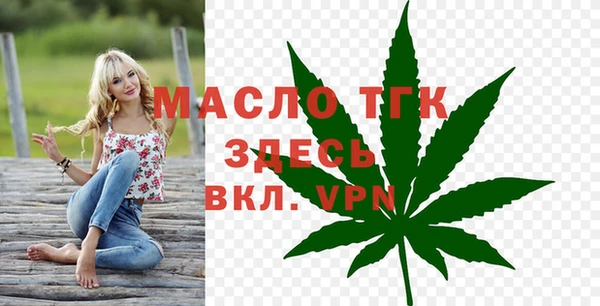 стафф Касимов