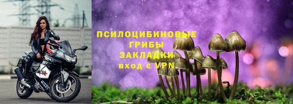 ALPHA-PVP Карталы