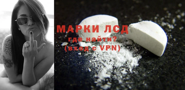 стафф Касимов