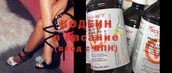 стафф Касимов